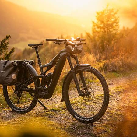 focus_stationsbees_velo-photo-gallery