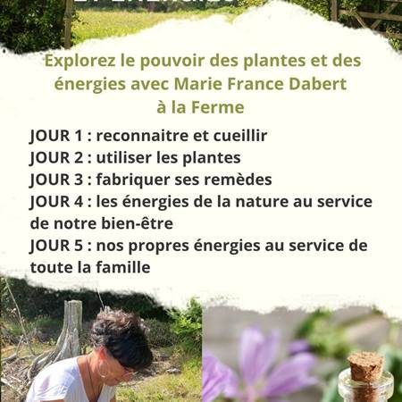 affiche 5 jours-gallery-offer