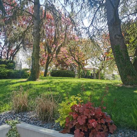 Le jardin vu de la terrasse-gallery-offer