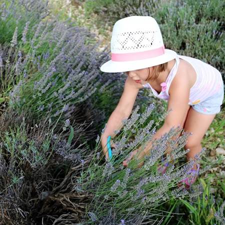 Atelier de distillation, enfant-photo-gallery