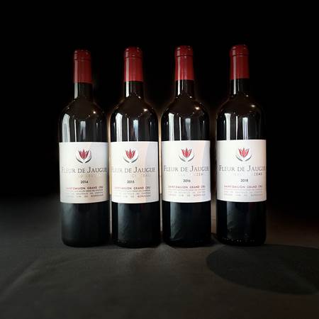 verticale2014-2015-2016-2018-photo-gallery