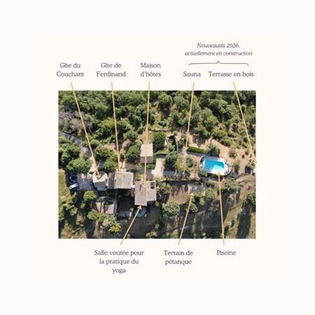 Untitled design-gallery-offer