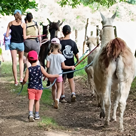 balade avec enfant-gallery-offer