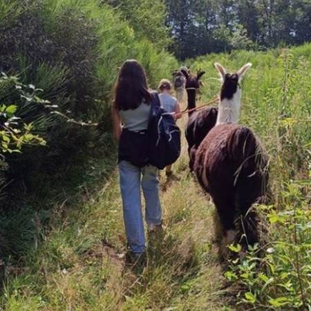 baladeAdulte-gallery-offer