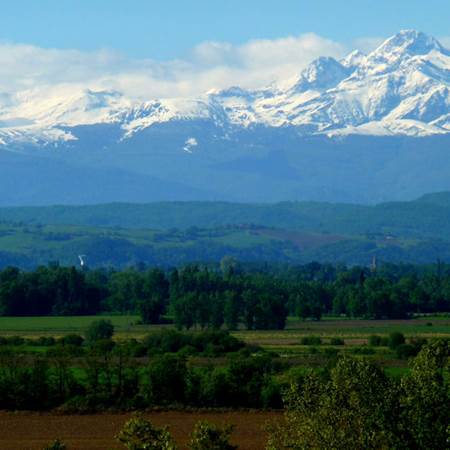 27956_181224-gallery