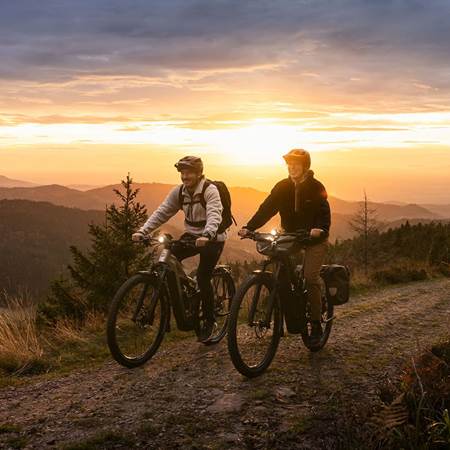 focus_stationsbees_montagne-photo-gallery