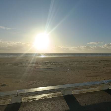 la célèbre plage et l'Estacade de St jean à 50m-gallery-offer