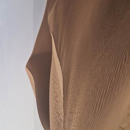 20250408_172526-img-gallery-solo