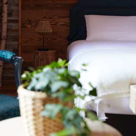 Zut_E9A0187-gallery-offer