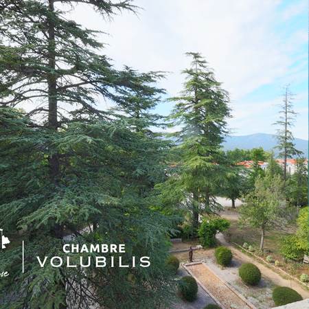 CASTELLROSE-Volubilis-5-gallery-offer