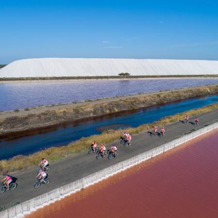 SalinsStationBEES-photo-gallery