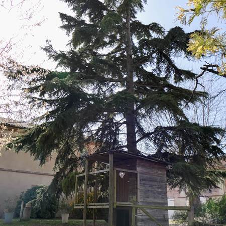 P1106517-gallery-offer