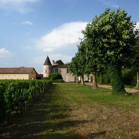 chai+chateau+vignes-photo-gallery