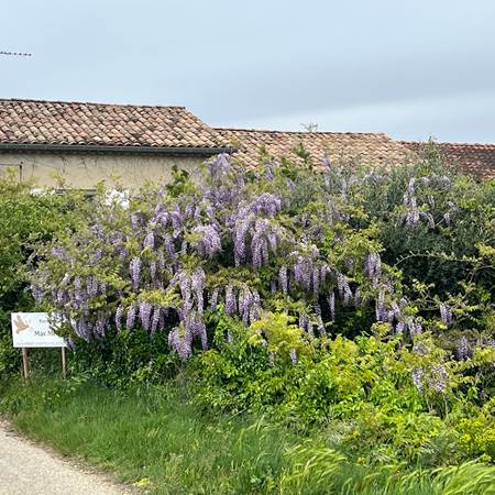 Le Mas Mellou - Gîte Le Levant-gallery-offer