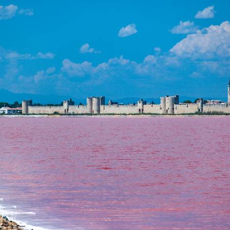 200724-Salin-Paysage-83-photo-gallery