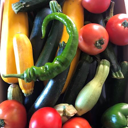 Les légumes du jardin sont prets à être cuisinés-gallery