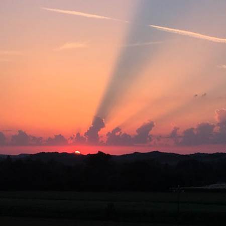 image (1)-img-gallery-solo