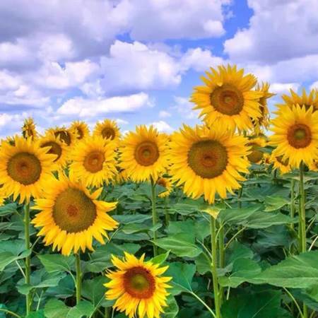 Famille - bons moments-img-gallery-solo