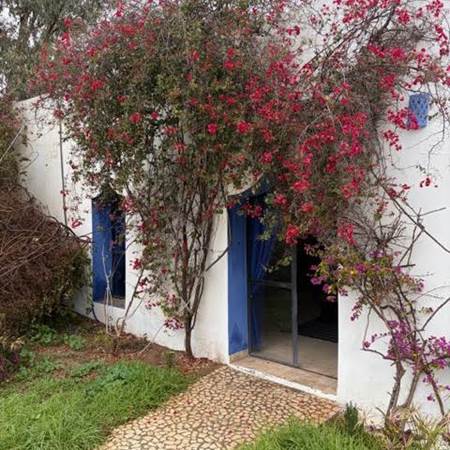 exterieur-gallery-offer