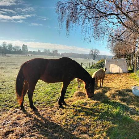 319747917_469118978680790_3273516538097889028_n-gallery-offer