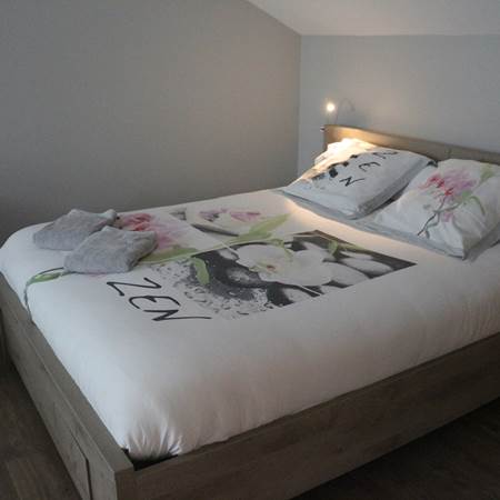 IMG_0270-img-gallery-solo