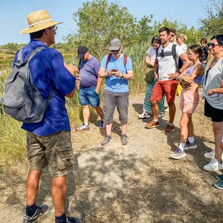 Visite guide´e en Camargue - De´couverte de la faune et de la flore-photo-gallery