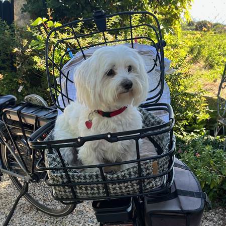 Gîte Le Couchant - Accueil Vélo-gallery-offer