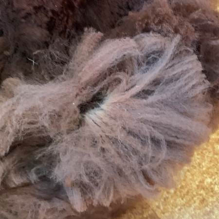 IMG_0316-gallery-offer