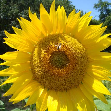 Notre Soleil-gallery-offer