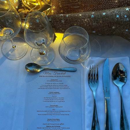 Dîner élégant au Mas Farchat-gallery-offer