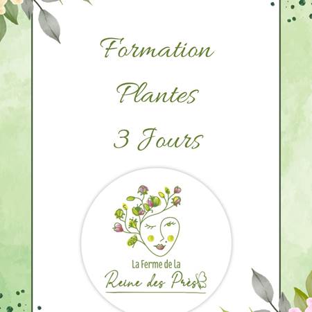 3 jours plantes ( canva)-gallery-offer