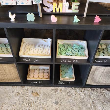 WhatsApp Image 2026-01-25 at 06.22.32 (8)-gallery-offer