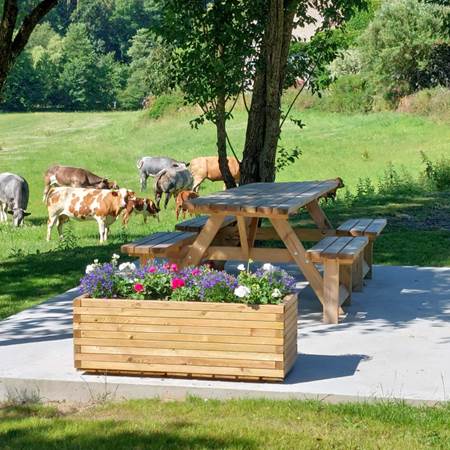 641b6120-b177-4229-9eba-d556ff45809b-img-gallery-solo