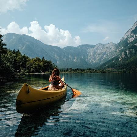 shutterstock_1494248777-photo-gallery