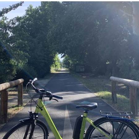 Kalkhoff_stationsbees_foret 3-photo-gallery