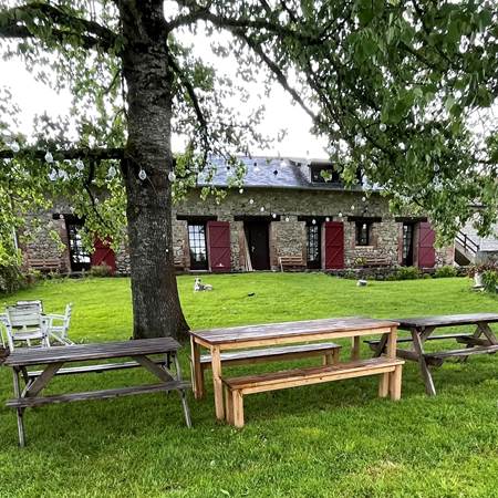 Profiter ensemble sous l'ombre des  saules-gallery-offer