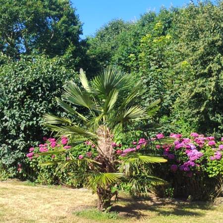 Jardin privé-gallery-offer