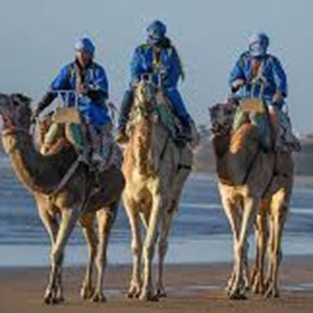 ballades cheval et chameaux-gallery-offer