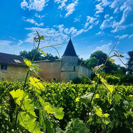 apex+tourchateau-photo-gallery