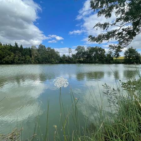 Lac de Pêche-gallery-offer