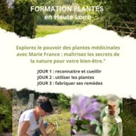 affiche-formation-plantes-3-jours-212x300-img-gallery-solo