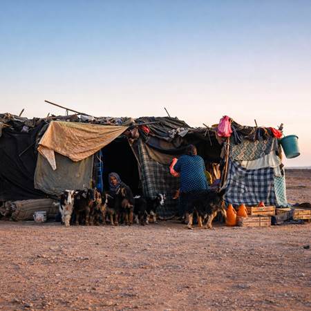 Regroupement des chèvres dans un campement nomade (1)-gallery-offer