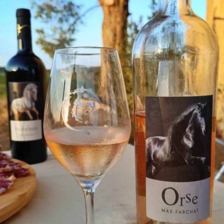 Dégustation de vin et tapas au Mas Farchat-gallery-offer