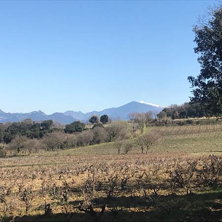 Gîte Le Couchant - Vue sur les Vignes de Châteauneuf du Pape-gallery-offer