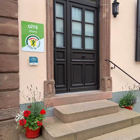 IMG_6844-img-gallery-solo