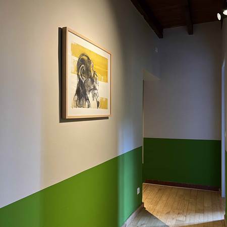 Circulation light-gallery-offer