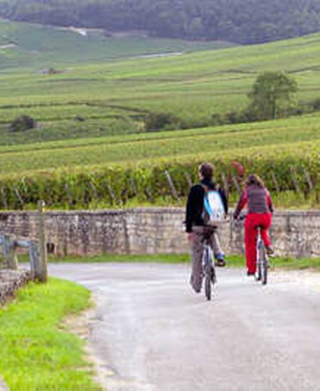 velos-vignoble_photo-alain-doire_bourgogne-tourisme_0