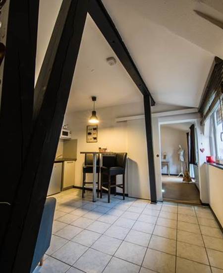 Saint Martin-Vauban-Neuf Brisach01