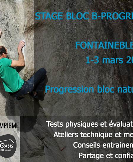 Stage bloc mars 24 Grimpisme Bloasis