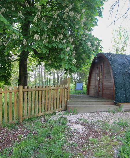 devant la cabane des Hobbits , terrasse privative